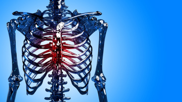 Illustrasjon av et skjelett. Foto: Szabolcs Szekeres/Mostphotos