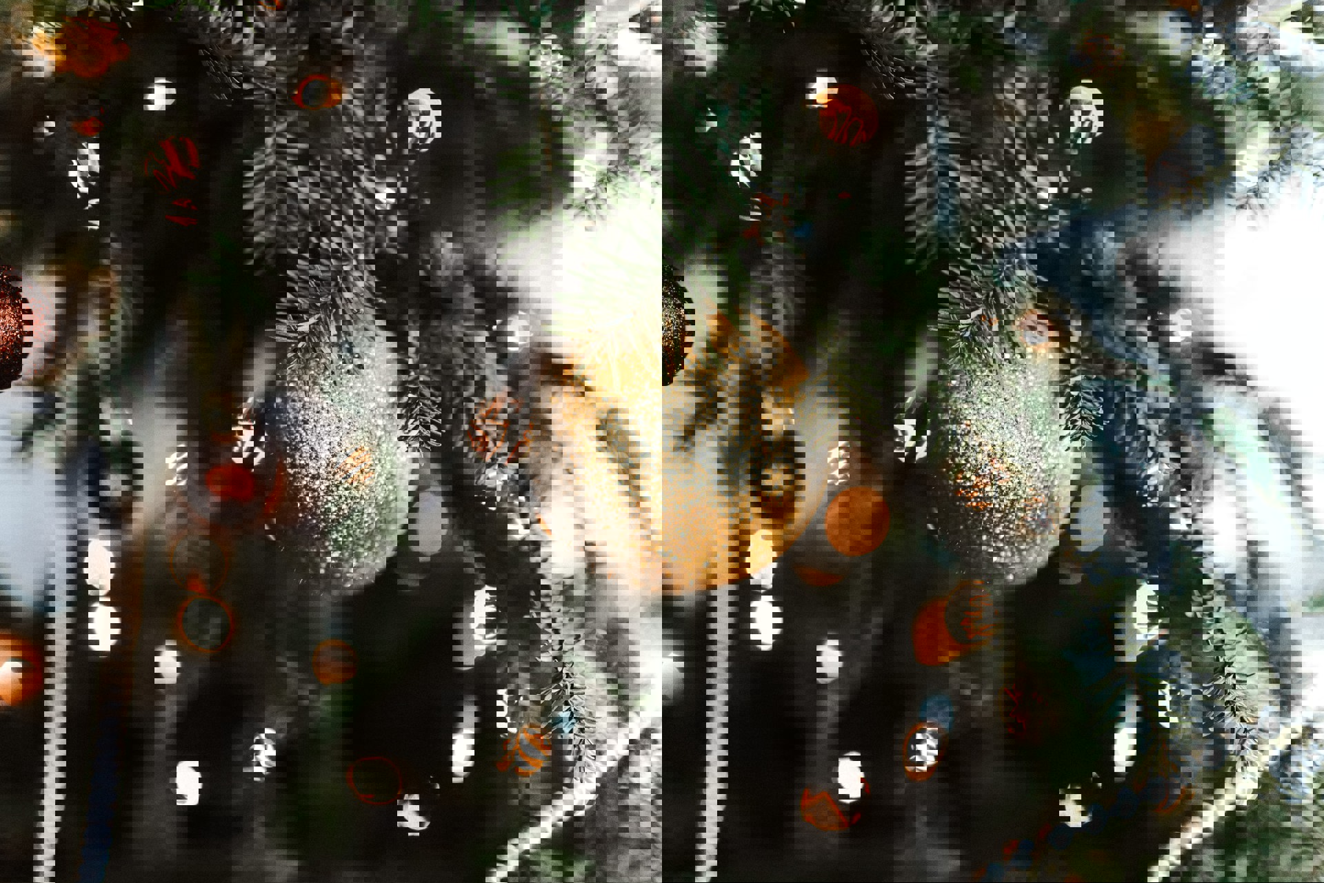 En riktig god jul ønskes alle fra Norsk psykiatrisk forening. Foto: Sandra Seitamaa, Unsplash