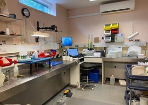 Makrorom på Royal National Orthopedic Hospital. Foto: Privat