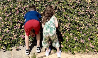 Lederfoto barn plukker blomster