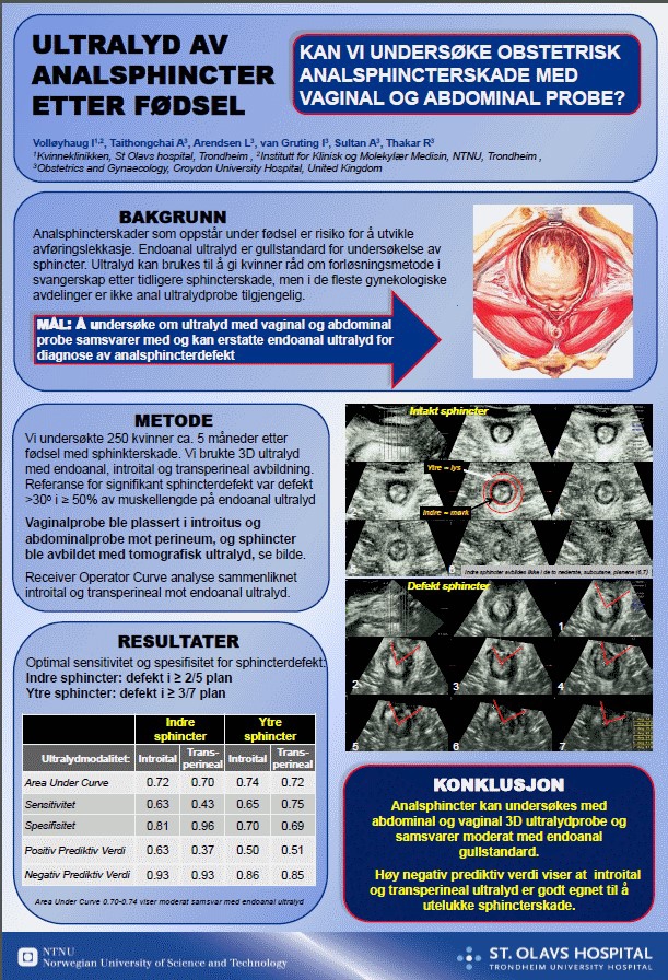 Ingrid Volløyhaugs plakat.