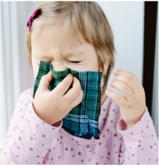 Illustrasjonsbilde av et nys