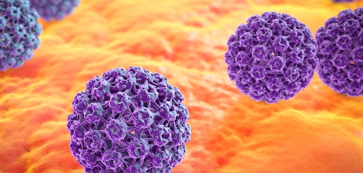 human papillomavirus. Illustrasjon: Istockphoto.com