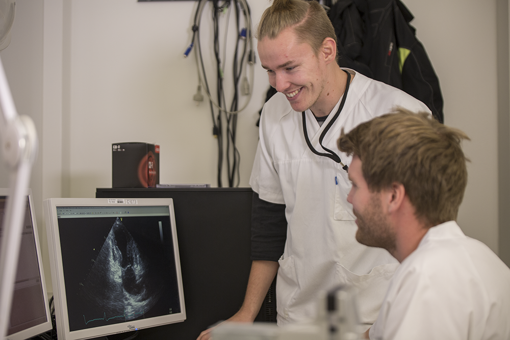 Mannlige leger i hvit frakk