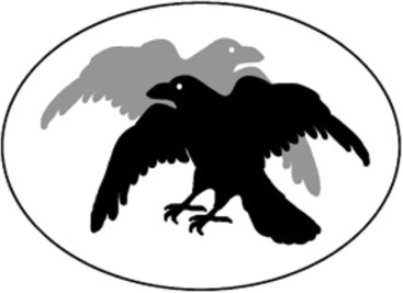 RAVN logo