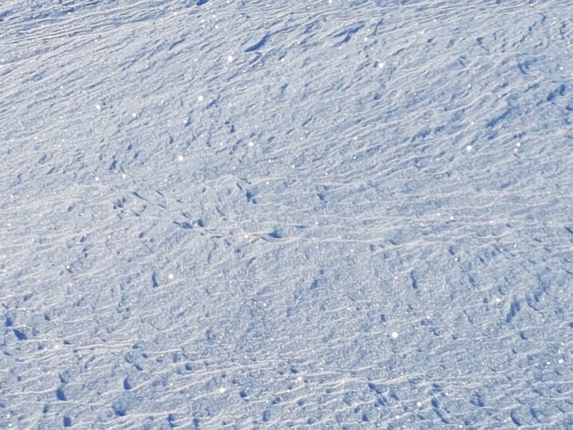 Stjernehimmel_på_bakken