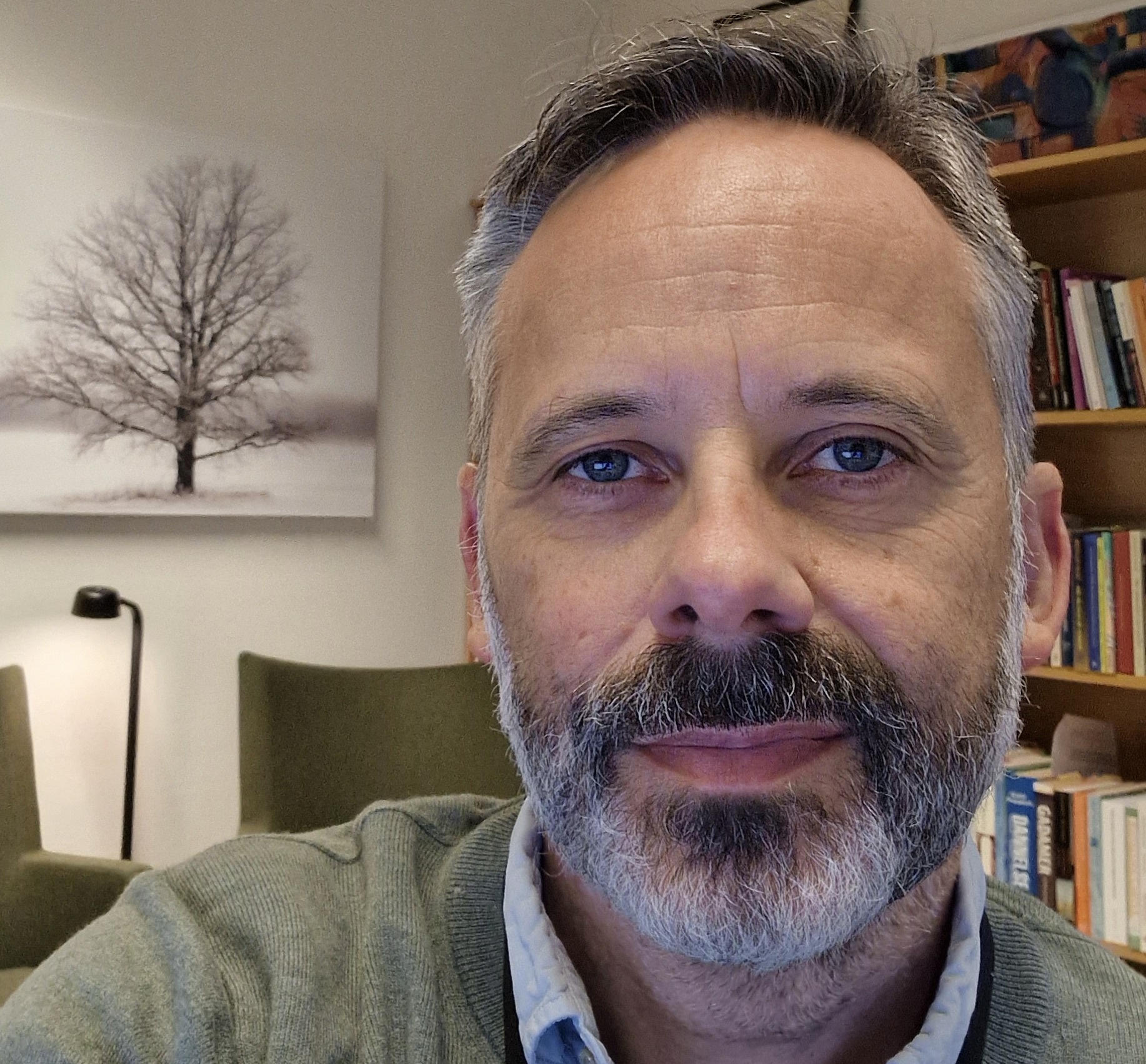 Mann med mørkt hår, grå i tiningene, grått skjegg. Alvorlig. I bakgrunnen bilde av et tre og en bokhylle.