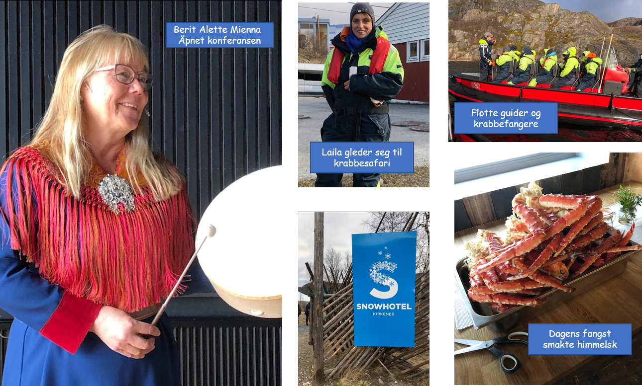 Arbeidsmedisinere i Kirkenes_bildecollage