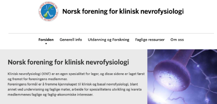 Skjermdump nettside NFKNF