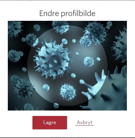 endre-profilbilde2.jpg