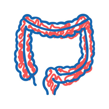 Collon scetch. Foto: Mostphotos/stockvectorwin