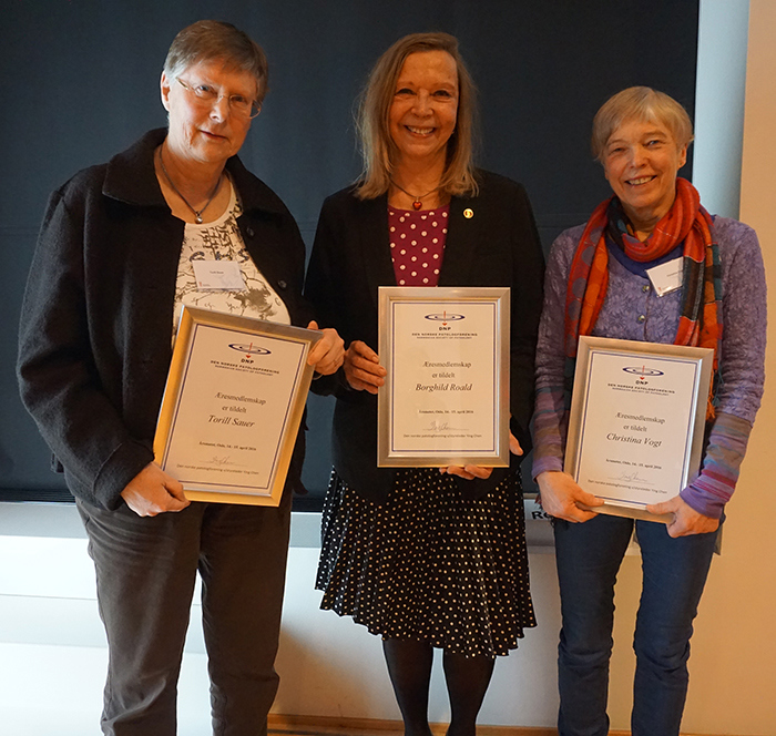 æresmedlemmer helfigur