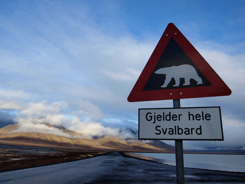 Isbjørn fareskilt på Svalbard. Foto: Colourbox.com