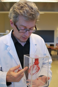 nordrum og plasthjertet