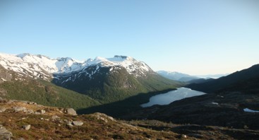 Høyfjellet