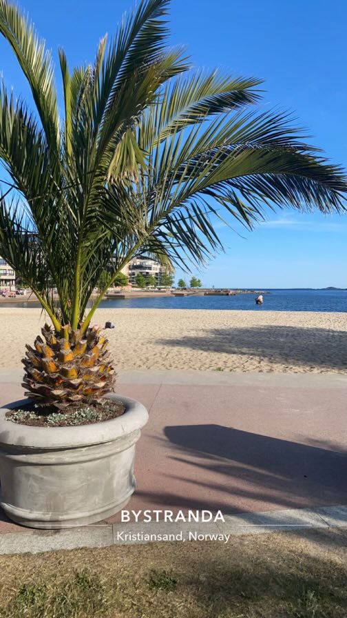 Bystranda i Kristiansand.
