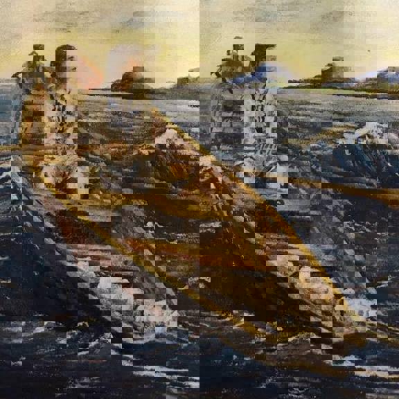 Bilde Nordlandsdoktern