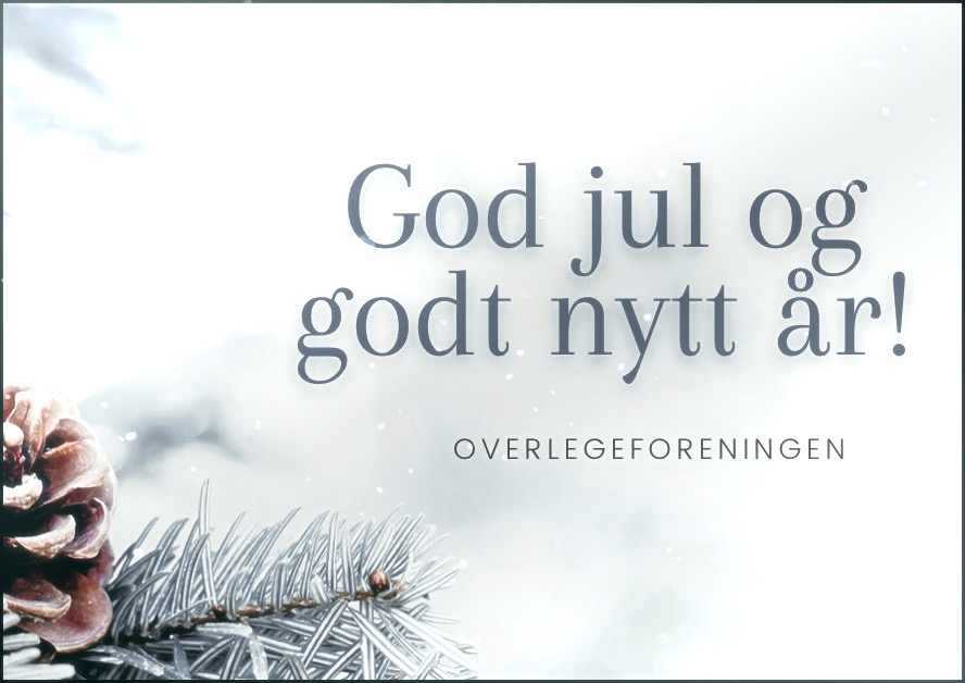 Julehilsen Of 2022