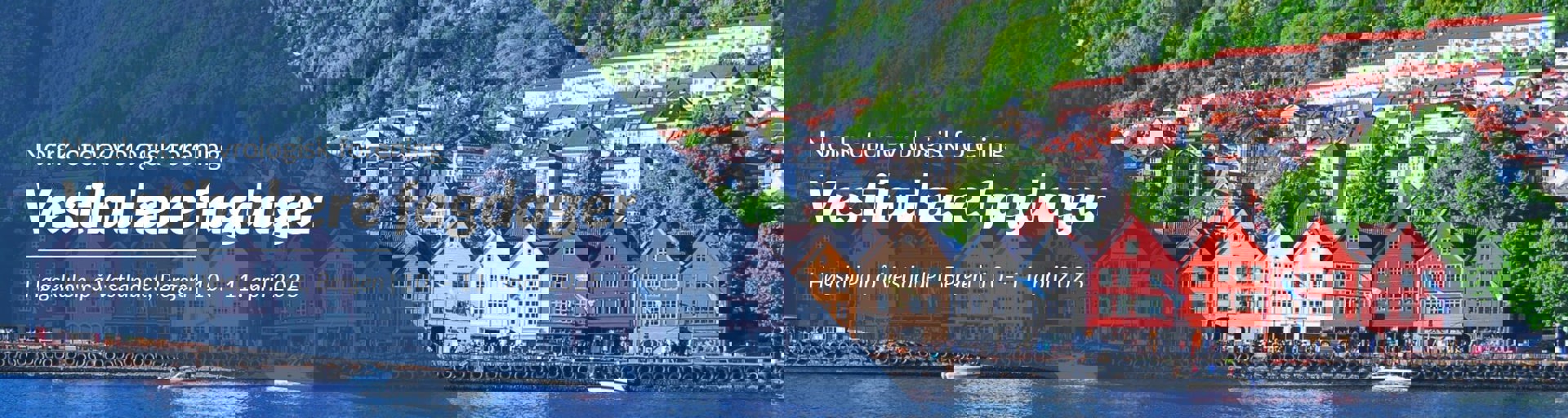 Vestibulære fagdager 2025