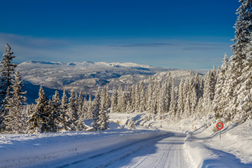 Bilde fra Øyerfjellet. Foto: Mostphotos.com.