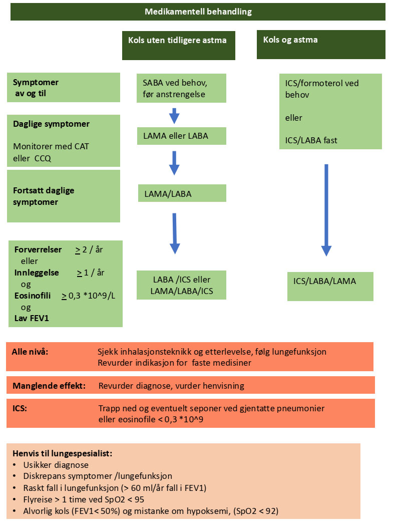 Figur som viser medikamentell behandling for kolspasienter. Utsnitt fra modell.