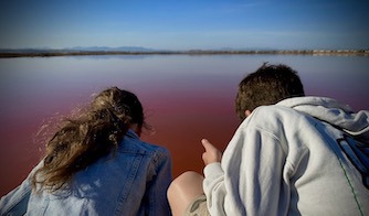 Barn ved stranda inngressfoto