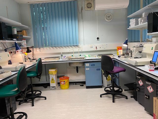 Immunlaboratoriet på Royal National Orthopedic Hospital. Foto: Privat