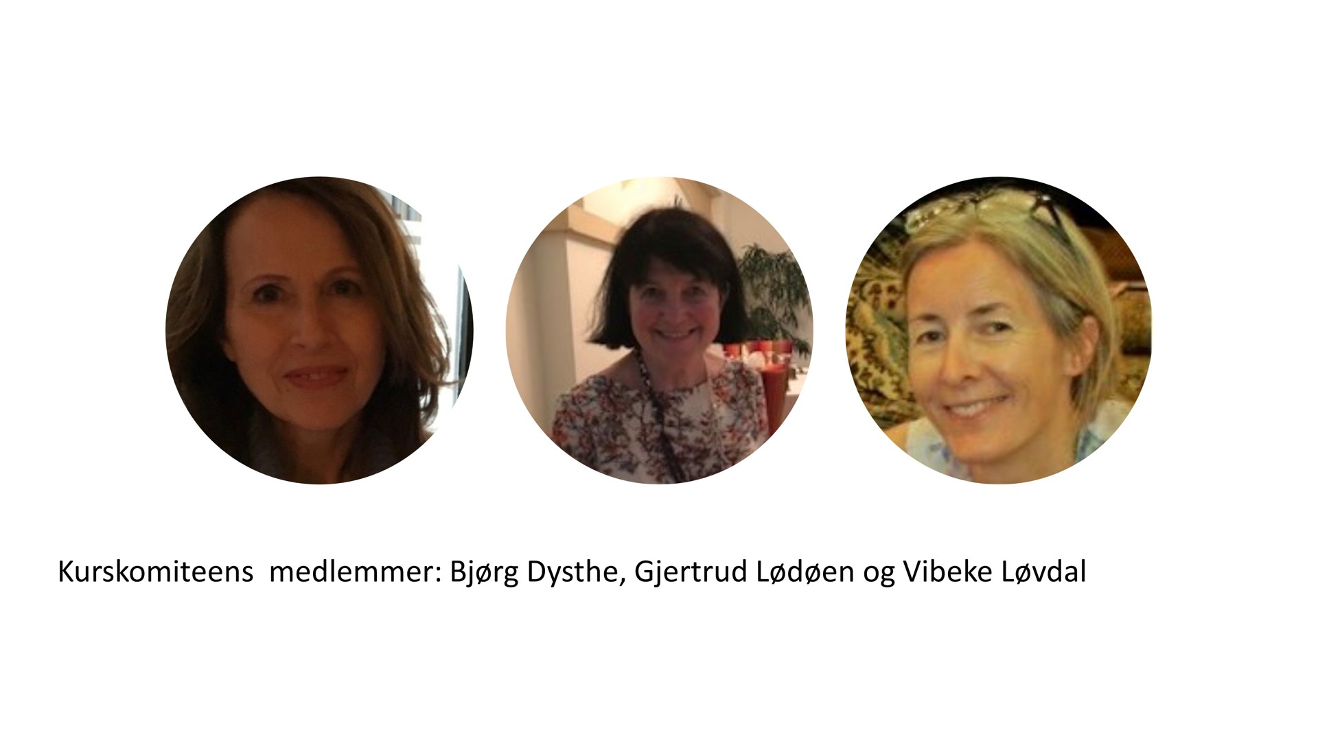 Kurskomiteens medlemmer