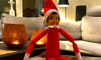 Foto av nissedukke