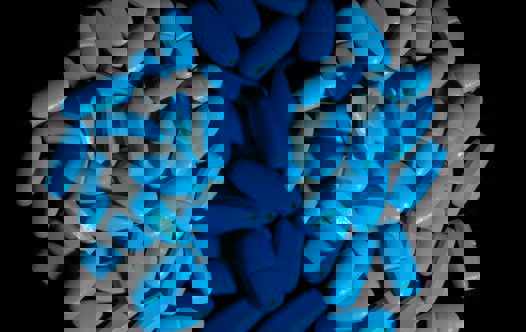 Blå tabletter på sort bakgrunn. Foto av Petr Malyshev