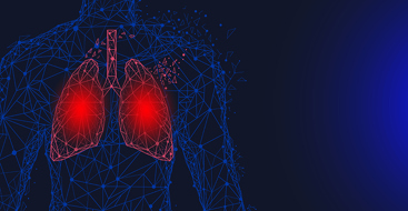Menneskelige lunger kirurgi operasjon lav poly. Medisin, sykdom, medikamentell behandling, smertefullt område. Polygonale menneskelunger med smerteområde. Organ i menneskets luftveier. Foto: Colourbox.com
