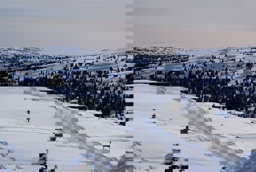 559782_509650455745567_555910076_n