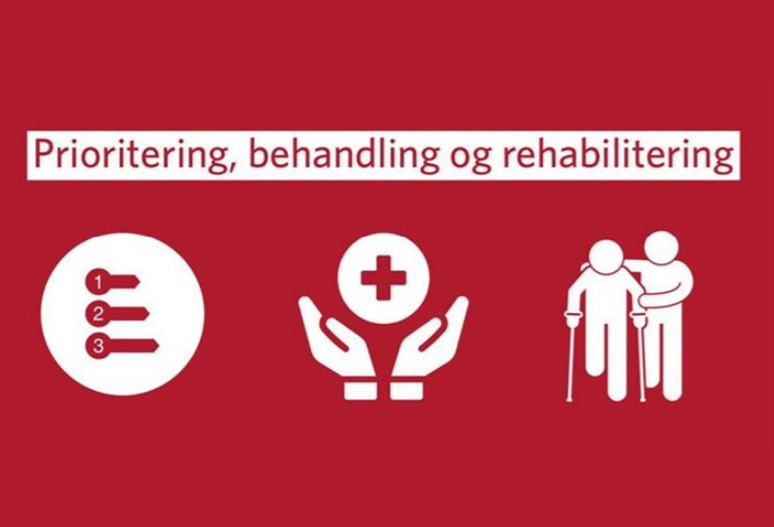 Covid 19 rapporten, et bilde derfra.