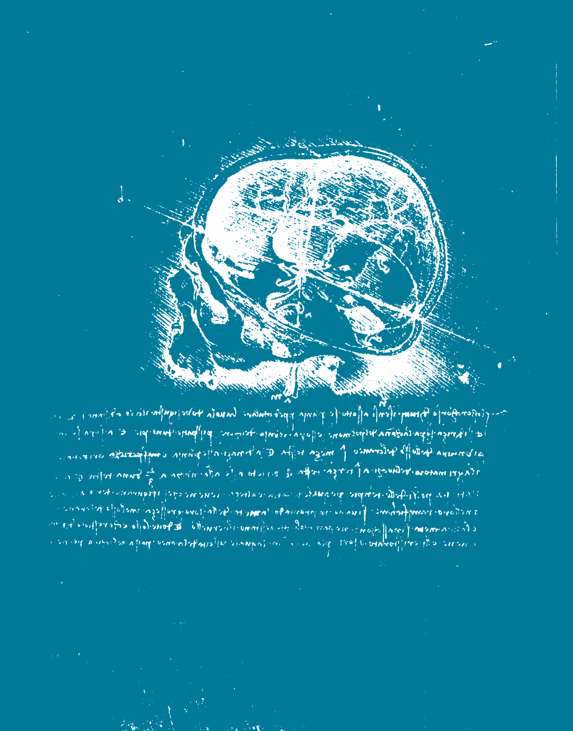 Tegning av hjerne, fra colourbox.com