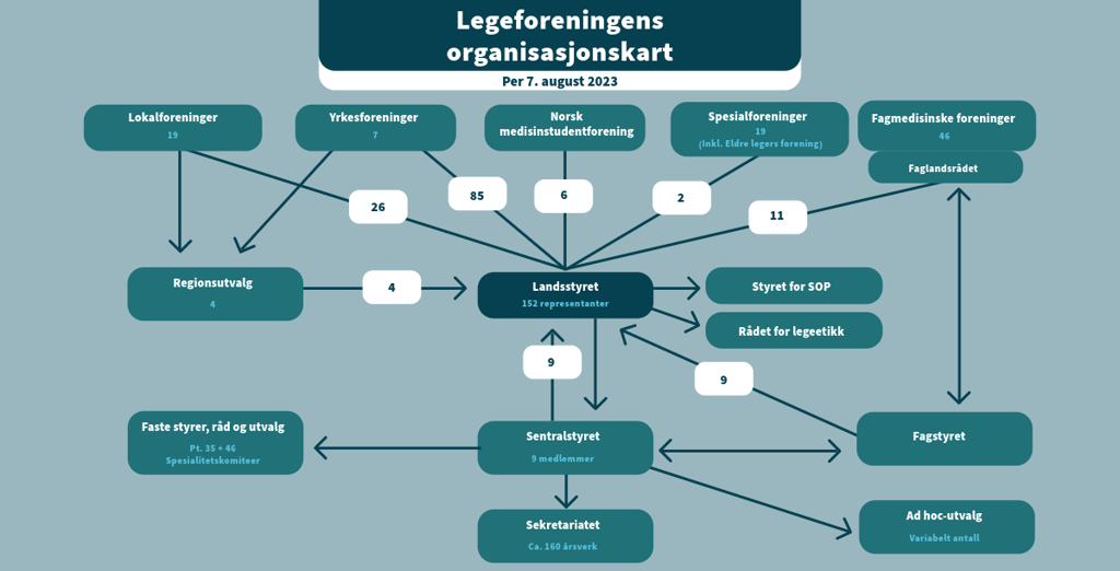Den norske legeforeningens organisasjonskart. Illustrasjon: Legeforeningen