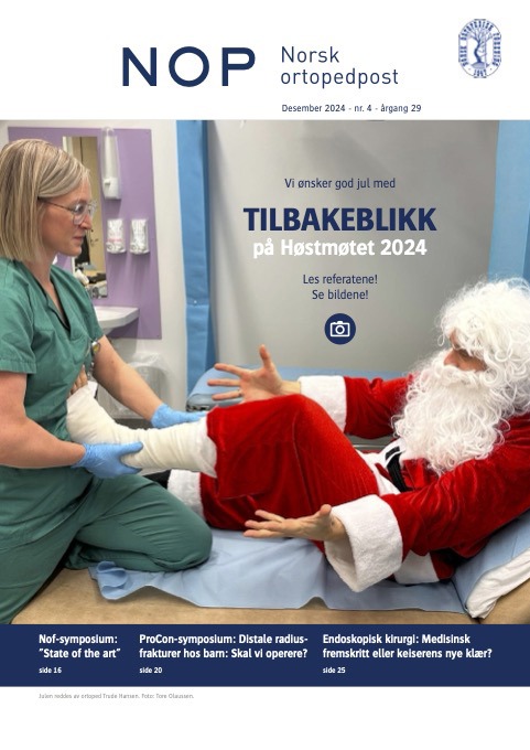 Julenissen blir reponert