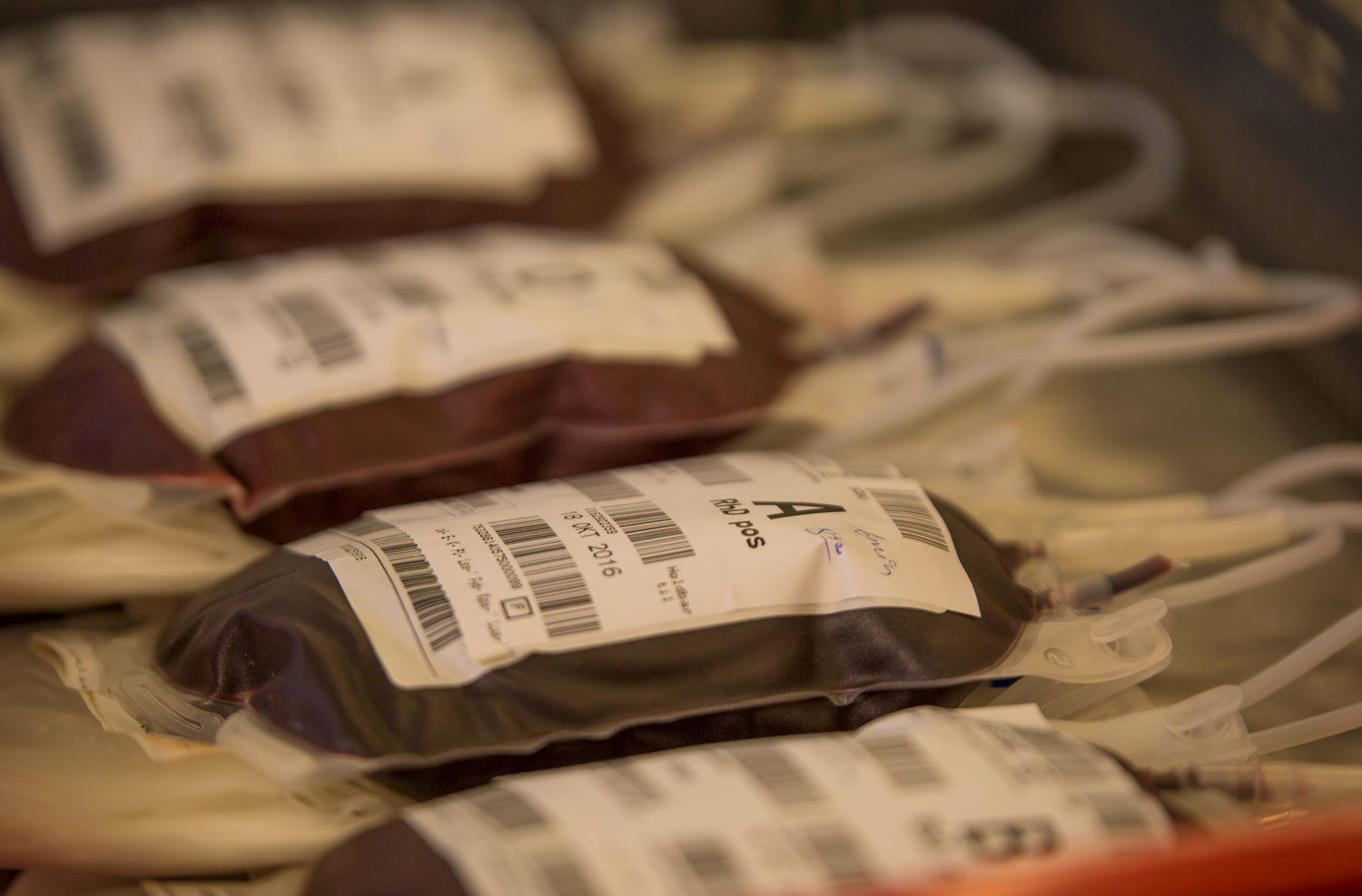 Blodposer. Foto: Thomas B. Eckhoff