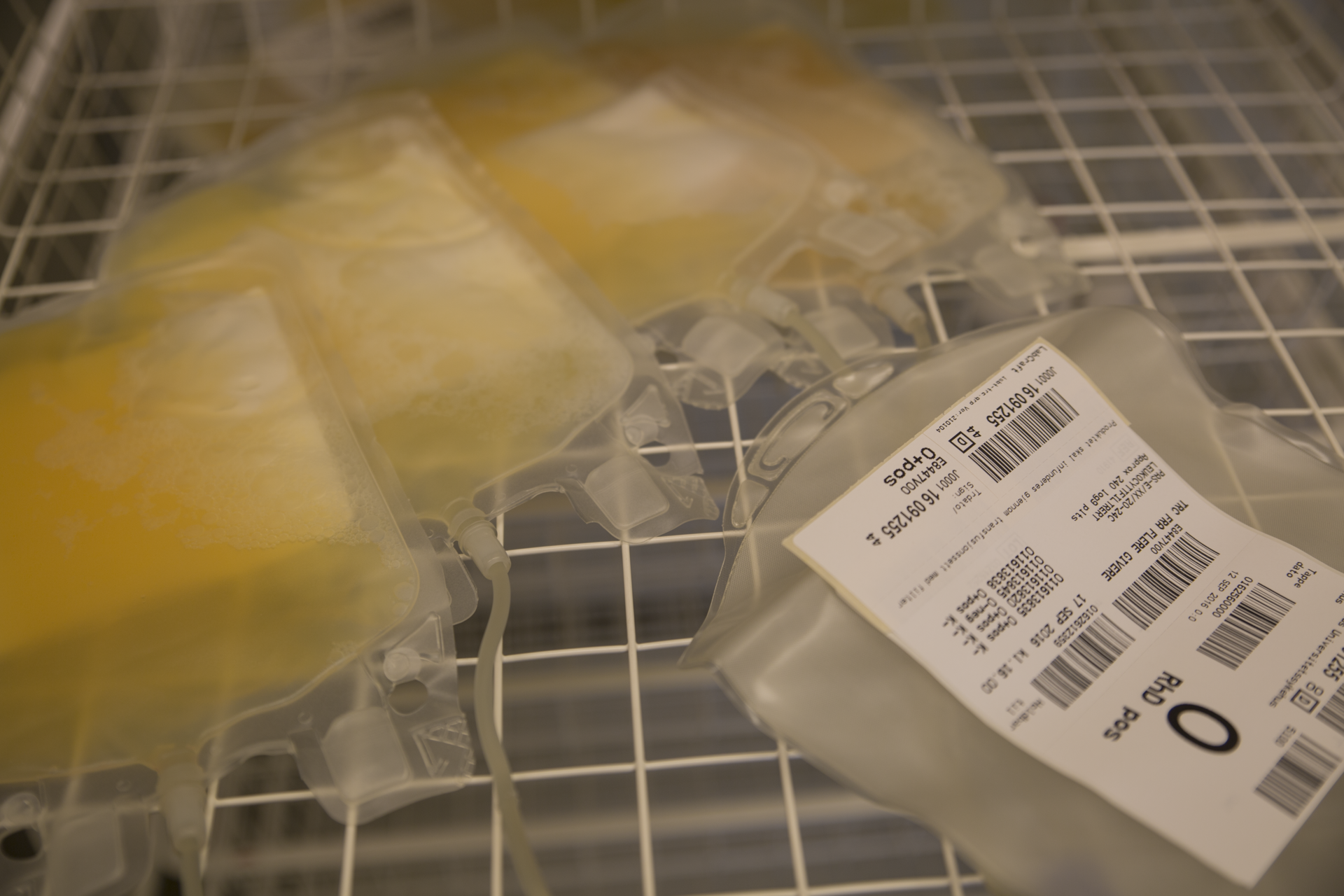 Poser med blodplasma